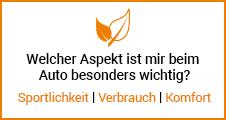 Fragen-auto-wichtig