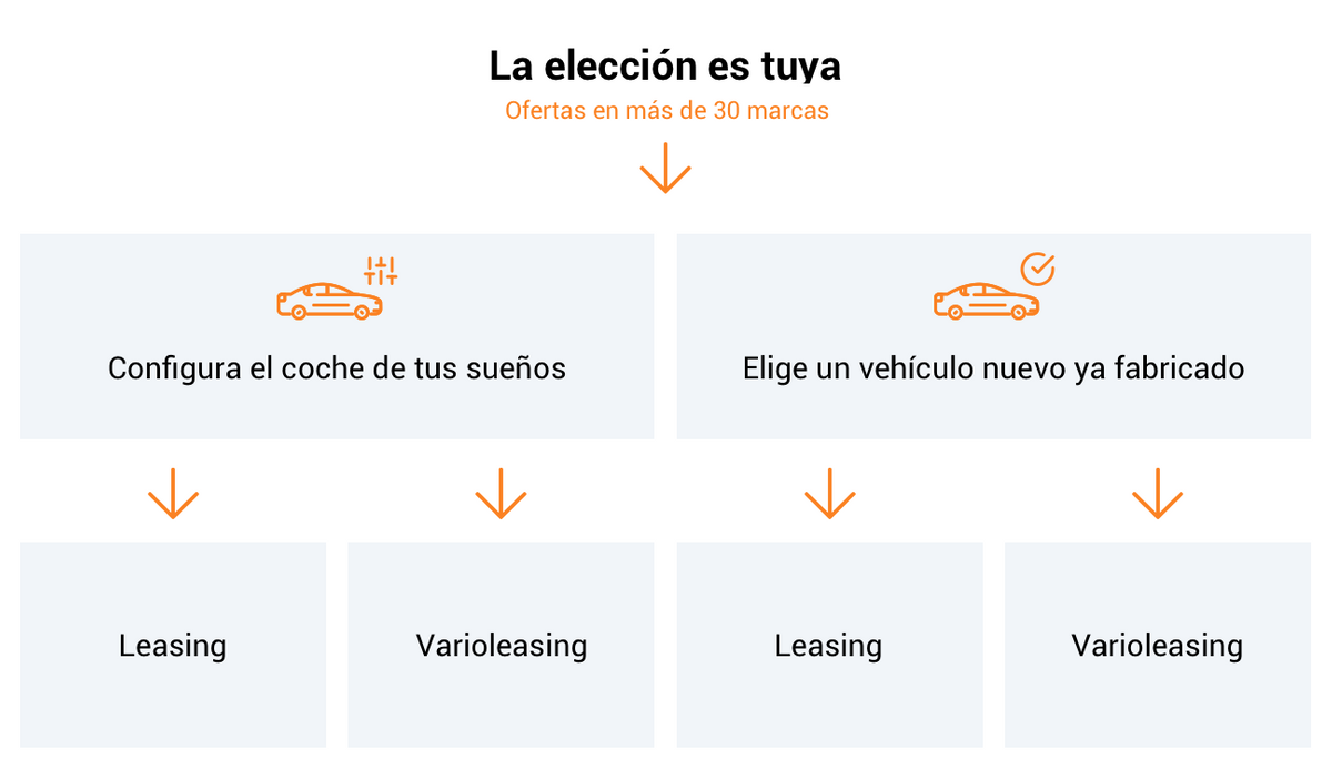 La elección es tuya