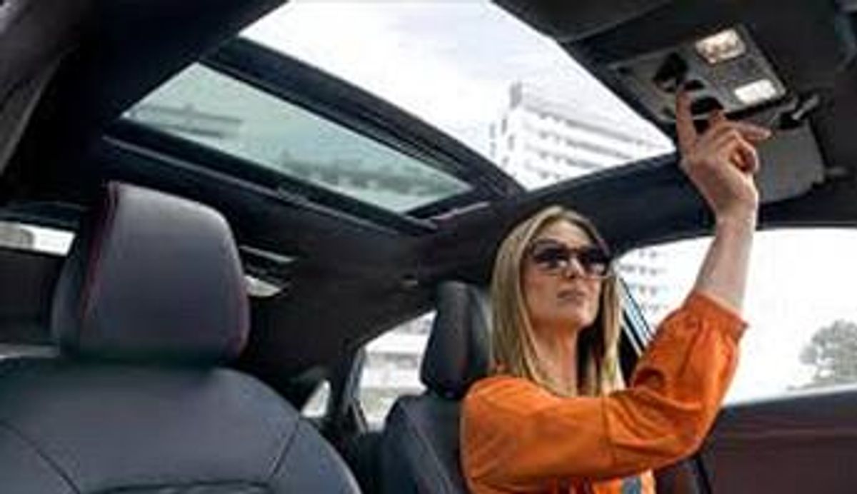 Ford Puma Panorama