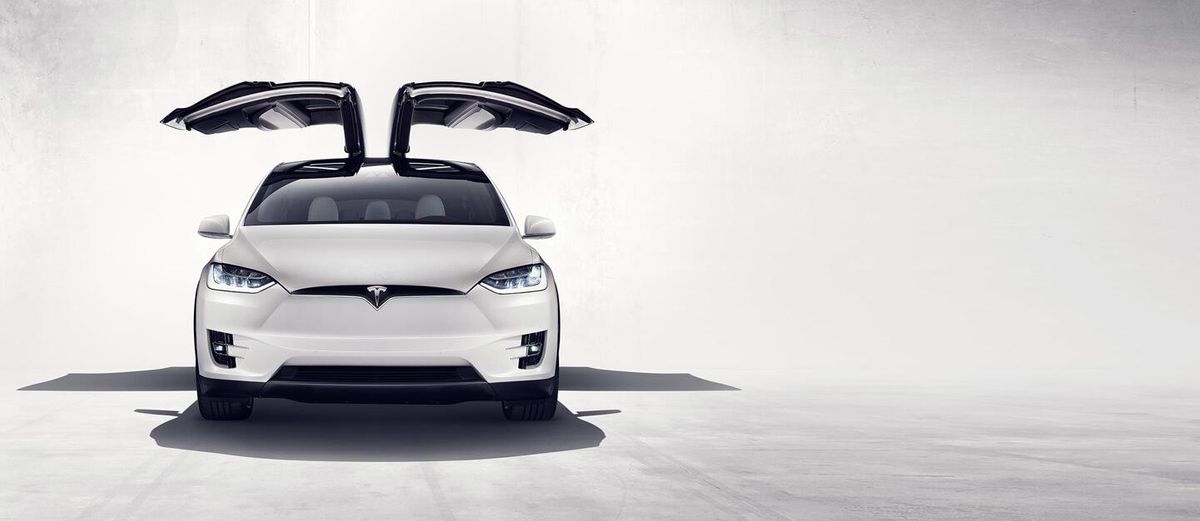 Tesla Fluegeltuere