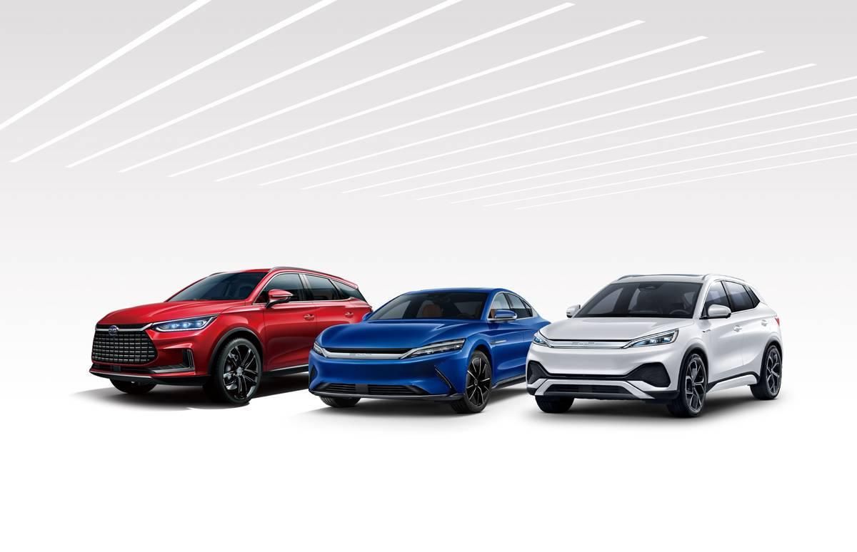 BYD Elektro Auto Lineup