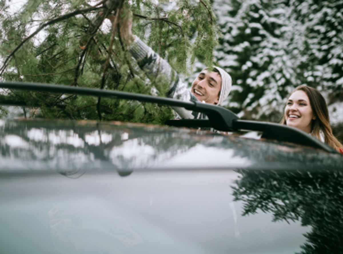 Weihnachtsbaum transportieren Auto